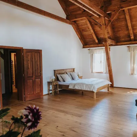 Chlalupa Libna - Adrspach アパート